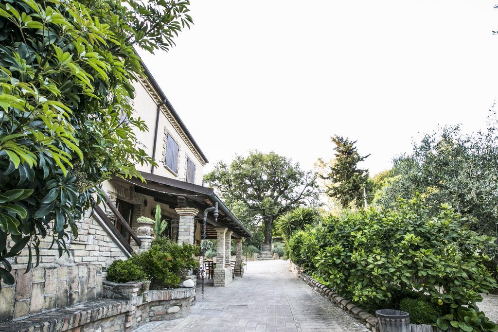 Agriturismo Col Morino Bed & Breakfast Pineto Exterior photo
